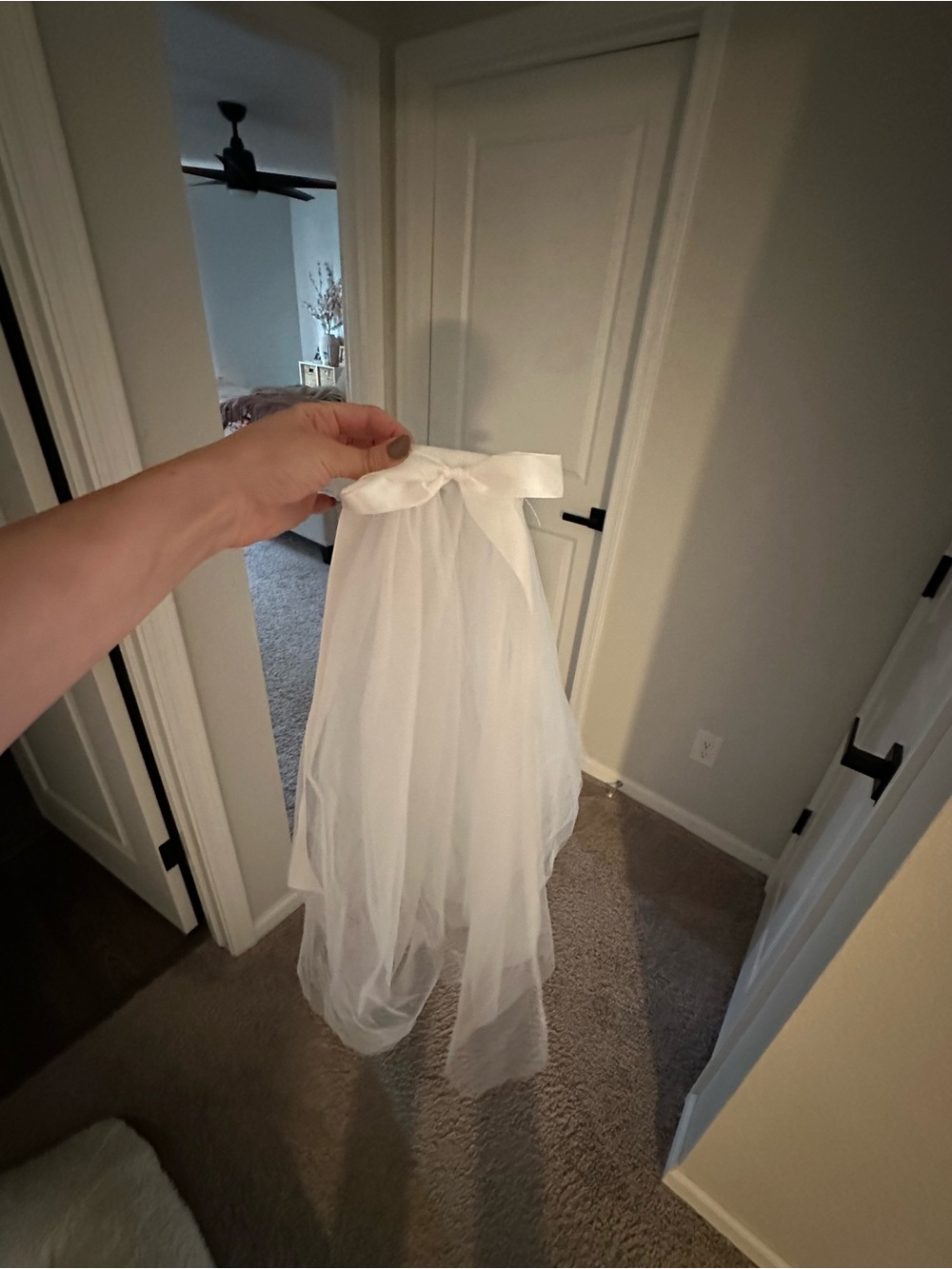 White Sheer Bridal Veil with Clip